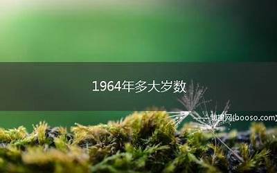 1965年多大(65年出生的今年多大)