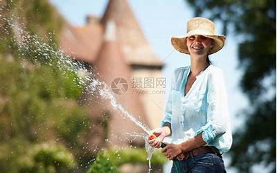 女人花园(女人私密花园到底是什么样)