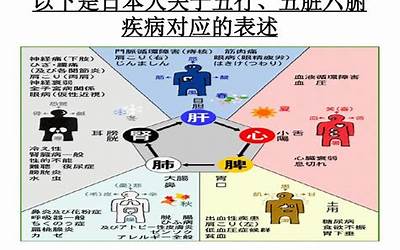 五脏对应的情绪(五脏六腑对应的情绪)