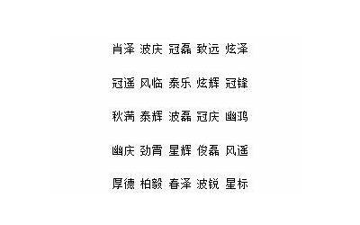 男孩的名字大全(男孩响亮有寓意名大全)