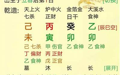 从儿格(八字从儿格代表什么意思)