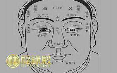 福德宫贪狼(紫微贪狼星在福德宫寓意如何)