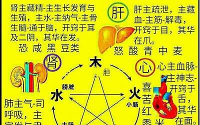 五行属金最吉利的名字(补金的名字大全寓意好的)