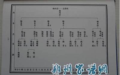 杨氏家谱字辈大全(杨氏24个字辈怎么排)