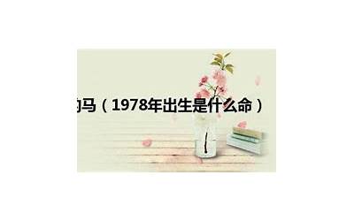 78年是什么年(1978年出生是什么命)