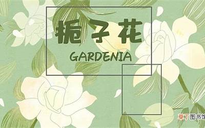 木兮(木兮是什么意思呢)