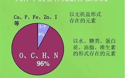 五大元素(人体必需的五大元素是什么)