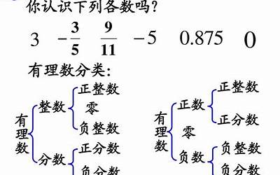 理数是什么意思(无理数的解释)