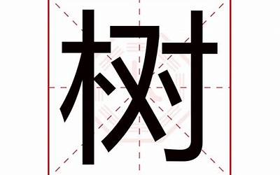 树字(树字取名寓意)