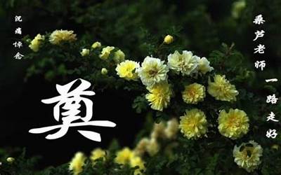 观花婆(观花婆是什么意思)