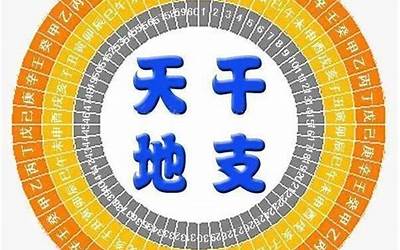 明年农历是什么年(明年天干地支是什么年)