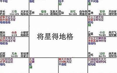 将星得地格(紫微斗数将星得地格成格条件是什么)