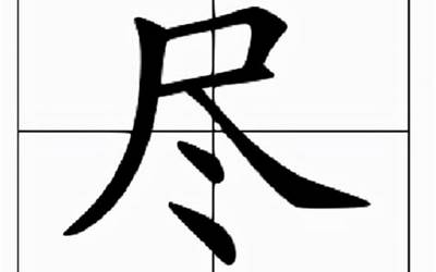 从是什么结构(从字是什么结构)