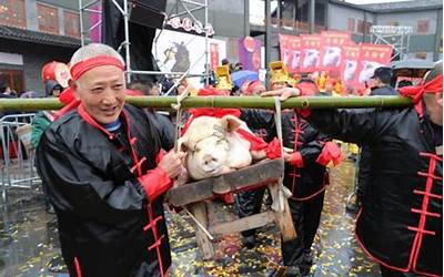 女年猪祭祀(2007年猪女是什么命)